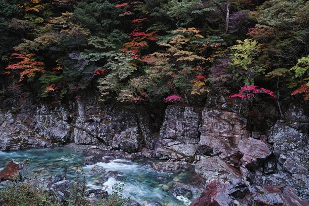 みたらい渓谷,紅葉(DP1Q0254b,F7.1,dp1Q)2014yaotomi_.jpg