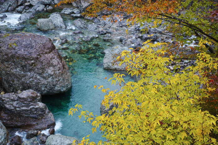 みたらい渓谷,紅葉(SDIM0024,F3.2,dp1Q)2014yaotomi_.jpg