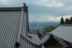 九品寺,彼岸花(P1000138,FULL)2014yaotomi_.jpg