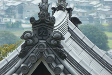 九品寺,彼岸花(P1000148,FULL)2014yaotomi_.jpg