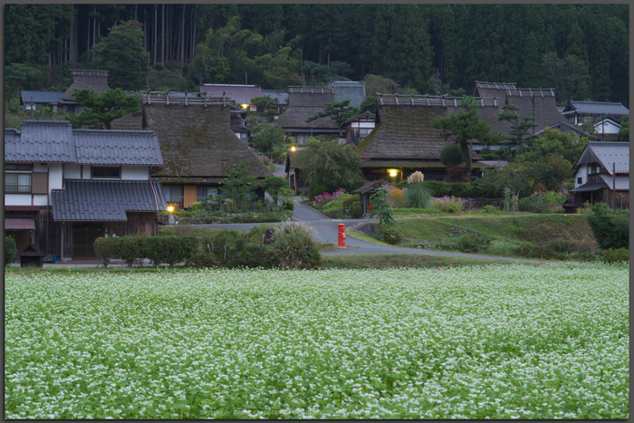 京都美山,かやぶきの里,そば(IMGP0839,Top)2014yaotomi_.jpg