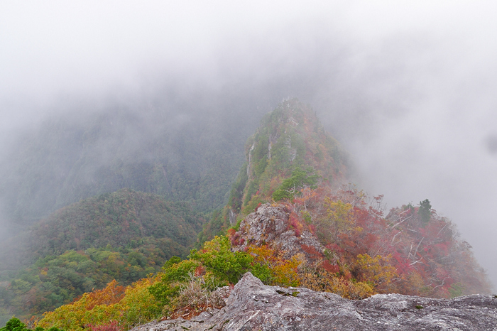 大台ヶ原,紅葉(2)(PA150129,12mm,F6.3,EM1)2014yaotomi_.jpg