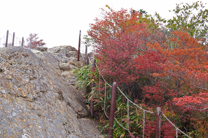 大台ヶ原,紅葉(2)(PA150165,25mm,F7.1,EM1)2014yaotomi_.jpg