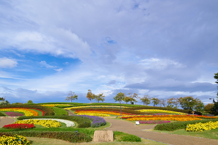 奈良,馬見フラワーフェスタ(PA130002,12mm,F7.1,EM1)2014yaotomi_.jpg