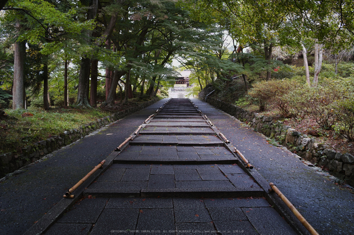 毘沙門堂,紅葉(DP1Q0084,F3.5,dp2Q)2014yaotomi_.jpg