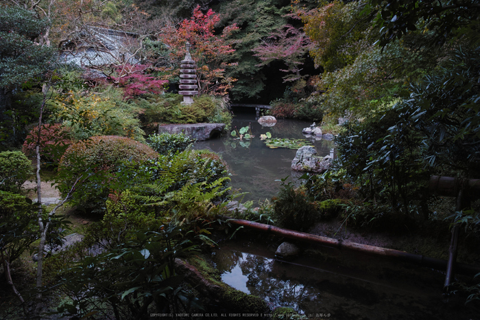 毘沙門堂,紅葉(DP1Q0185,F7.1,dp2Q)2014yaotomi_.jpg