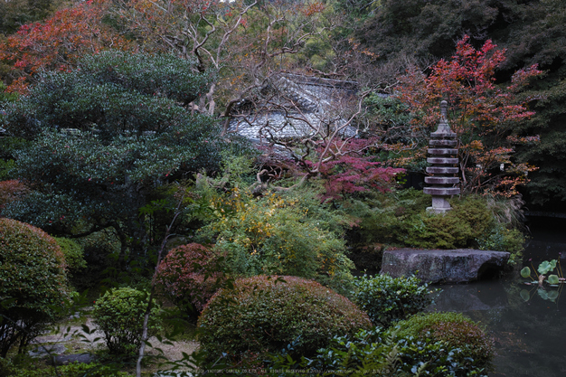 毘沙門堂,紅葉(SDIM0008,F5,dp2Q)2014yaotomi_.jpg