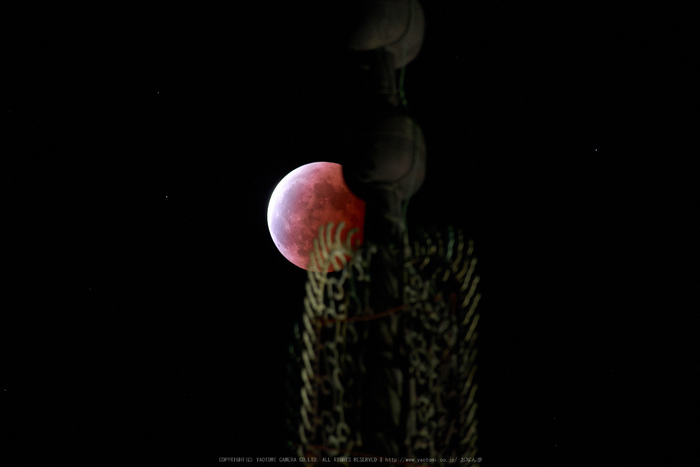 皆既月食,奈良,興福寺(P1040805,300mm,GX7)2014yaotomi_.jpg