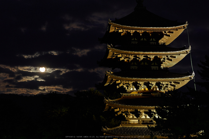 皆既月食,奈良,興福寺(PA080305,45mm,EM1)2014yaotomi_.jpg