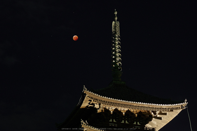 皆既月食,奈良,興福寺(PA080398,45mm,EM1)2014yaotomi_.jpg