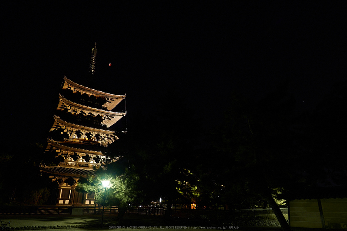 皆既月食,奈良,興福寺(PA080409,12mm,EM1)2014yaotomi_.jpg