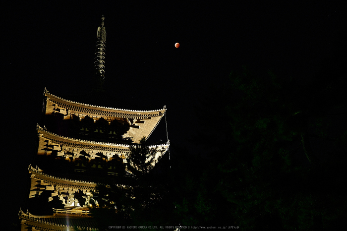 皆既月食,奈良,興福寺(PA080415,25mm,EM1)2014yaotomi_.jpg