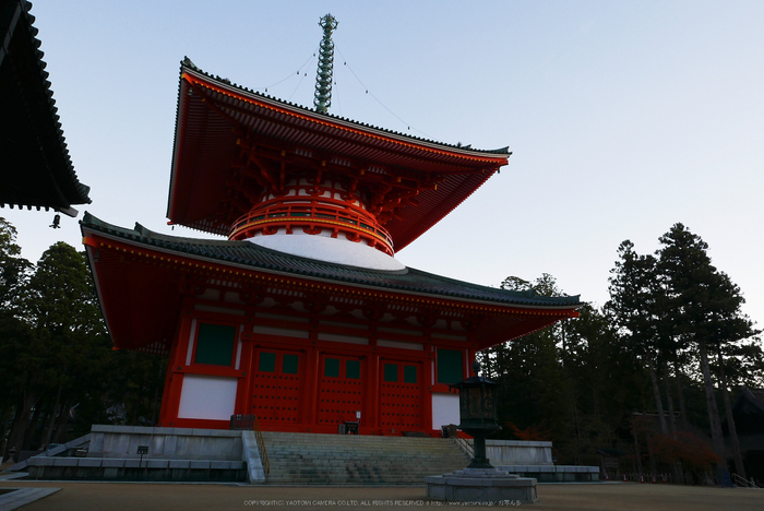 高野山,紅葉(P1000170,F6.3,10.9mm,LX100)2014yaotomi.jpg