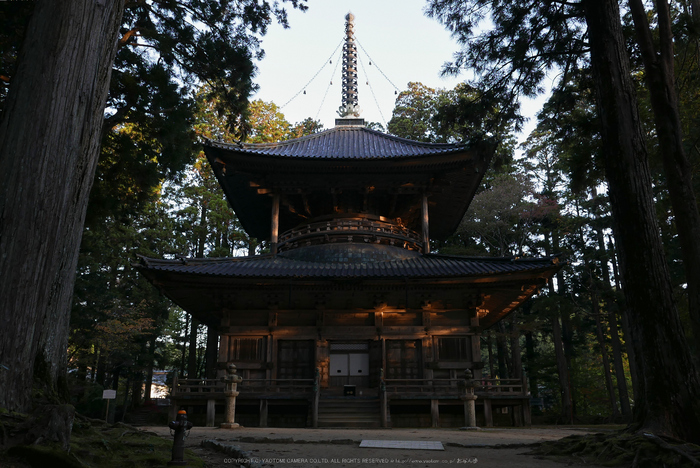 高野山,紅葉(P1000192,F5.6,13.4mm,LX100)2014yaotomi.jpg