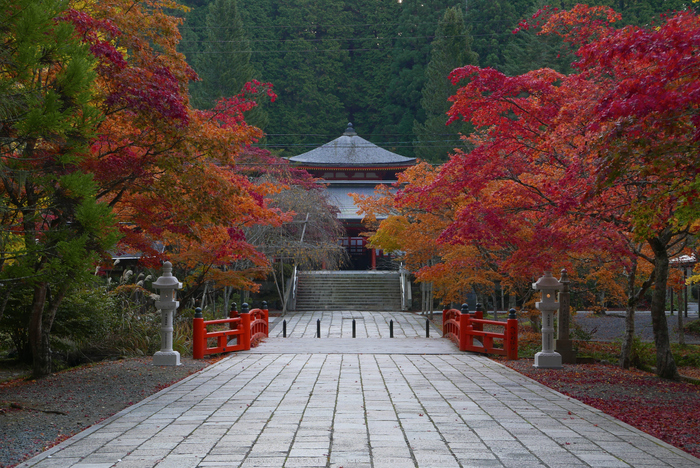 高野山,紅葉(P1000255,F6.3,29.3mm,LX100)2014yaotomi.jpg