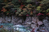 DP1Q0254b.jpg