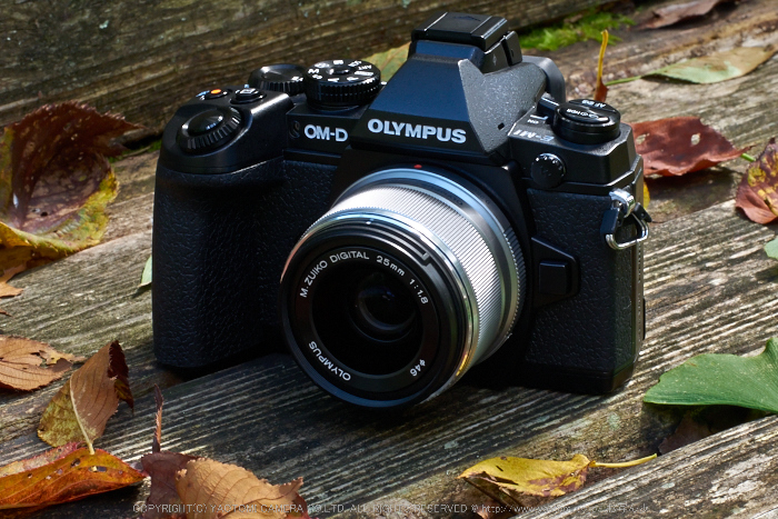 【美品】OLYMPUS M.ZUIKO DIGITAL 25mm F1.8