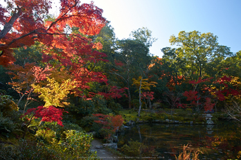 依水園,紅葉(PK3_0545,F9,16mm,K-3)2014yaotomi_.jpg