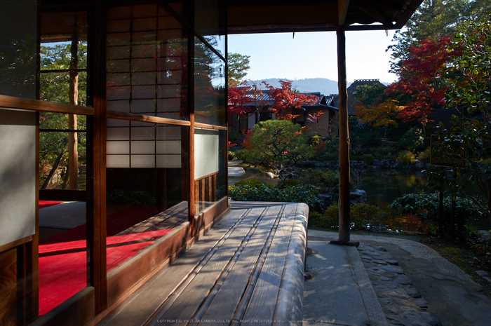 依水園,紅葉(PK3_0561,F8,18mm,K-3)2014yaotomi_.jpg