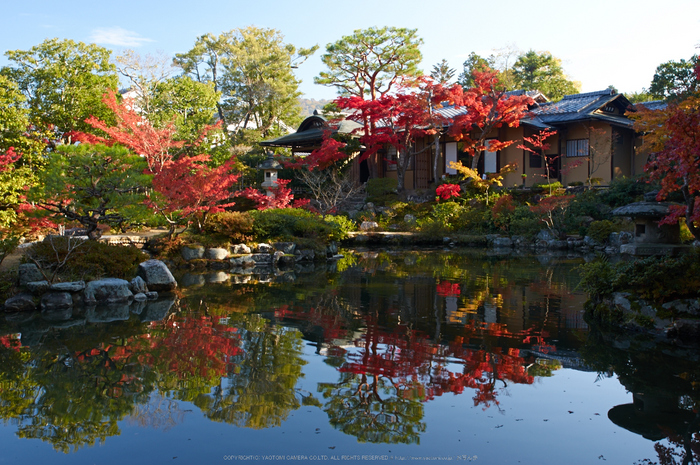 依水園,紅葉(PK3_0570,F9,23mm,K3)2014yaotomi_.jpg