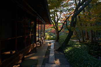 依水園,紅葉(PK3_0589,F9,16mm,K-3)2014yaotomi_.jpg