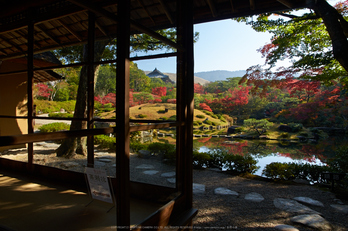 依水園,紅葉(PK3_0591,F9,16mm,K-3)2014yaotomi_.jpg