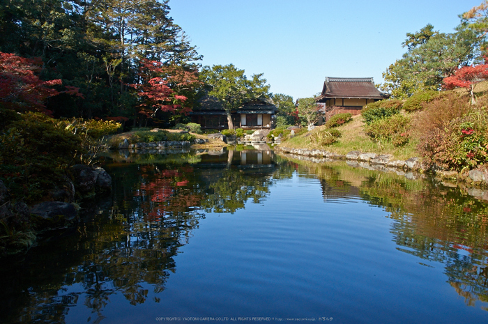 依水園,紅葉(PK3_0697,F10,16mm,K-3)2014yaotomi_.jpg