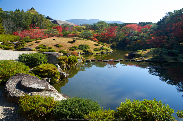 依水園,紅葉(PK3_0729,F10,16mm,K3)2014yaotomi_.jpg