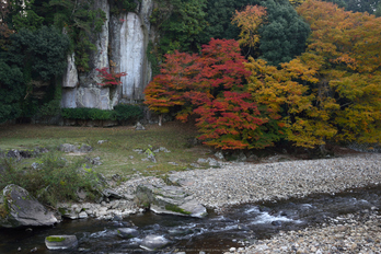 大野寺,紅葉(DSC_0984,F5.6,32mm,D750)2014yaotomi_.jpg