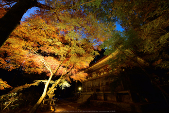 室生寺,紅葉(DSC_1605,F7.1,14mm,D750)2014yaotomi_.jpg