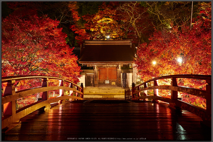 室生寺・紅葉(PB260161,Top)2014yaotomi_.jpg