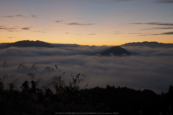 屏風岩公苑,紅葉(P1000004,F4.8,22mm,GM1S)2014yaotomi.jpg