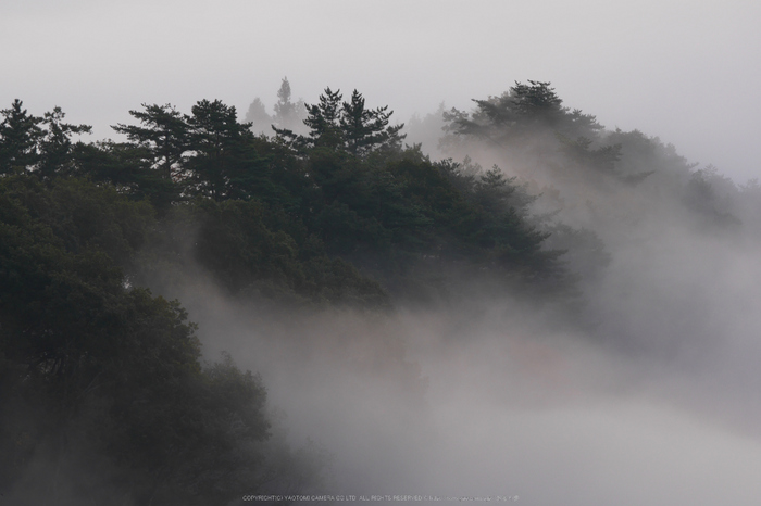 屏風岩公苑,紅葉(P1000018,F8,107mm,GM1S)2014yaotomi.jpg