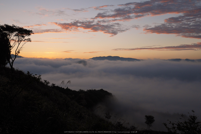 屏風岩公苑,紅葉(P1000023,F7.1,16mm,GM1S)2014yaotomi.jpg