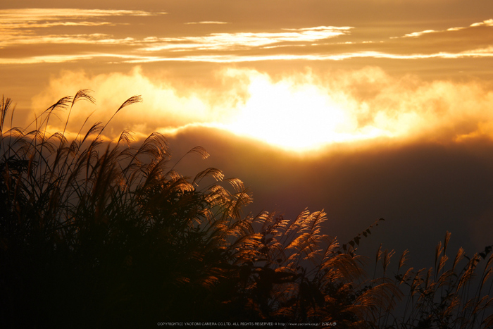 屏風岩公苑,紅葉(P1000045,F10,169mm,GM1S)2014yaotomi.jpg