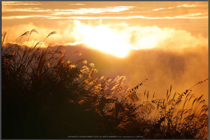 屏風岩公苑,紅葉(P1000047,F10,147mm,Top)2014yaotomi.jpg