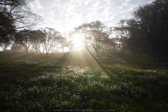 屏風岩公苑,紅葉(P1000135,F4,14mm,GM1S)2014yaotomi.jpg