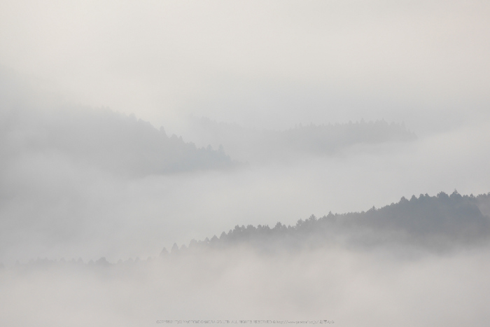 屏風岩公苑,紅葉(P1000195,F9,175mm,GM1S)2014yaotomi.jpg