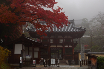 岡寺,紅葉(PB260015,38mm,F6.3,EM1)2014yaotomi_.jpg