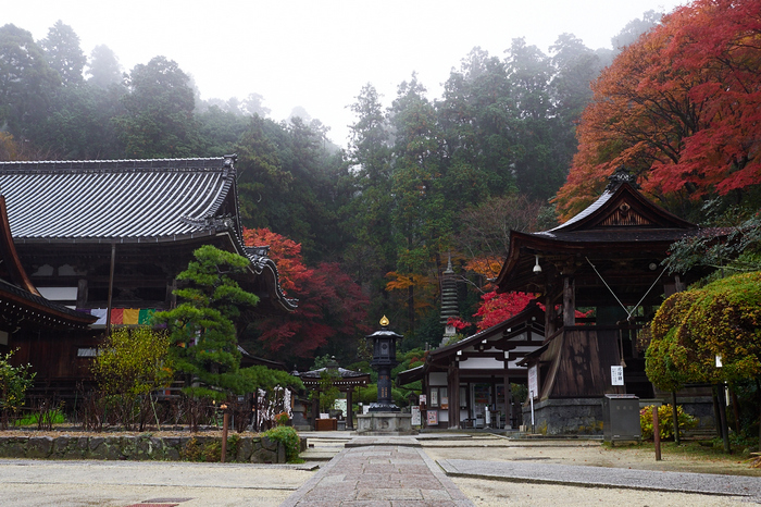 岡寺,紅葉(PB260023,18mm,F6.3,EM1)2014yaotomi_.jpg