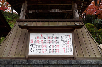 岡寺,紅葉(PB260193,12mm,F5,EM1)2014yaotomi_.jpg