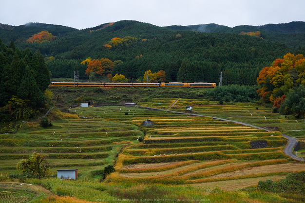 岡寺,紅葉(PB260204,21mm,F3.5,FULL)2014yaotomi_ (2) .jpg