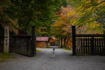 峰定寺,紅葉(PB050339,18mm,F2.8,EM1)2014yaotomi.jpg