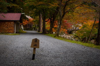 峰定寺,紅葉(PB050340,25mm,F2.8,EM1)2014yaotomi.jpg