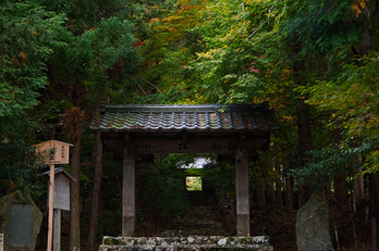 常照皇寺,紅葉(PB050274,35mm,F4.5,EM1)2014yaotomi.jpg