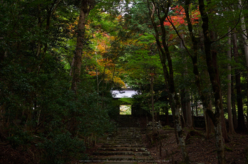 常照皇寺,紅葉(PB050276,24mm,F4.5,EM1)2014yaotomi.jpg