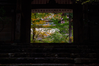 常照皇寺,紅葉(PB050279,40mm,F4.5,EM1)2014yaotomi.jpg