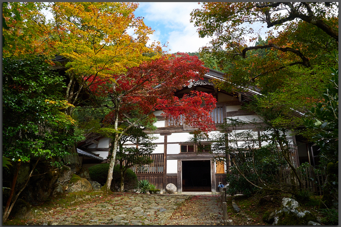 常照皇寺,紅葉(PB050286,Top)2014yaotomi.jpg