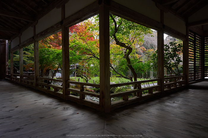 常照皇寺,紅葉(PB050302,12mm,F7.1,EM1)2014yaotomi.jpg