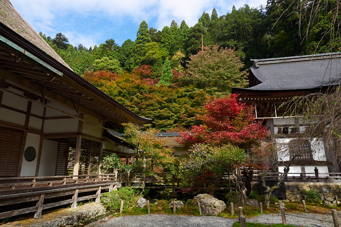 常照皇寺,紅葉(PB050315,12mm,F6.3,EM1)2014yaotomi.jpg